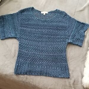 Carolyn Taylor Blue Knit Women's Sweater Size Small